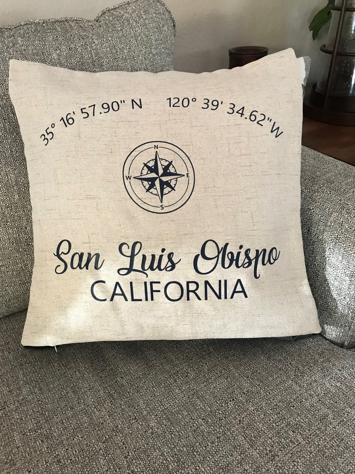 Coordinates Throw Pillow